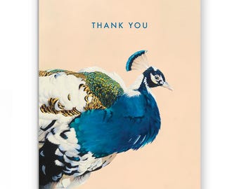 Set of 8 - Peacock Thank You Card