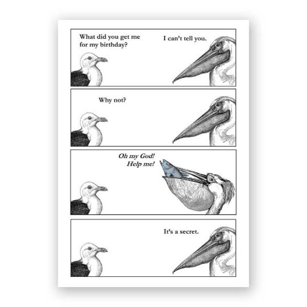 Secret Birthday Present -  Pelican & Seagull Card