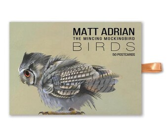 Matt Adrian Fine Art Postcard Set of 50 - Birds - Animal - Mincing Mockingbird