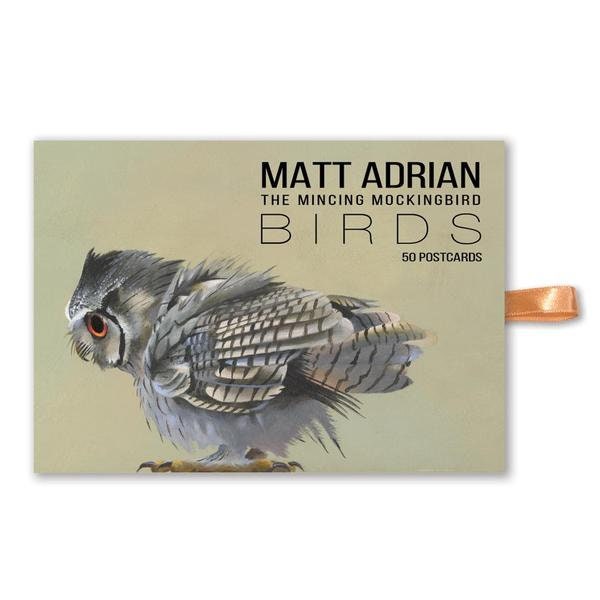 Matt Adrian Fine Art Postcard Set of 50 - Birds - Animal - Mincing Mockingbird