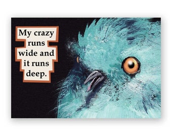 May include: A close-up of a blue bird's face with a bright orange eye. The bird is looking to the left of the image. The text "My crazy runs wide and it runs deep." is in a box on the left side of the image.