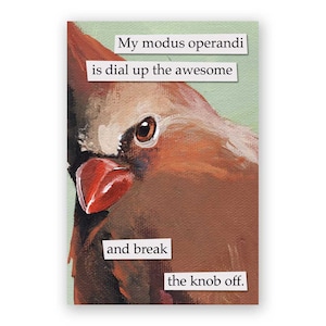 Modus Operandi Magnet Bird Cardinal Humor Gift Stocking Stuffer Mincing Mockingbird image 1