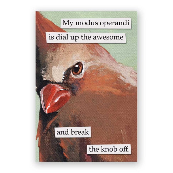 Modus Operandi Magnet - Bird - Cardinal - Humor - Gift - Stocking Stuffer - Mincing Mockingbird