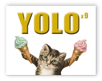 YOLO Birthday Cat Card