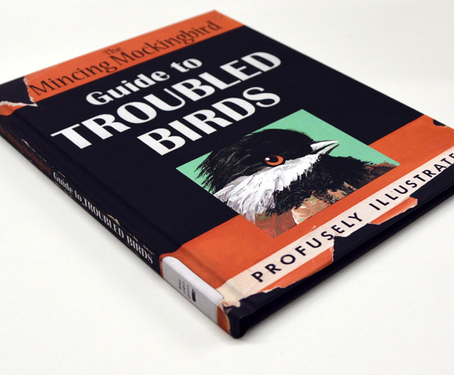 The Mincing Mockingbird Guide to Troubled Birds Book Signed Etsy Canada
