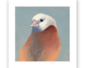 5 x 5 Art Print - Finch 27