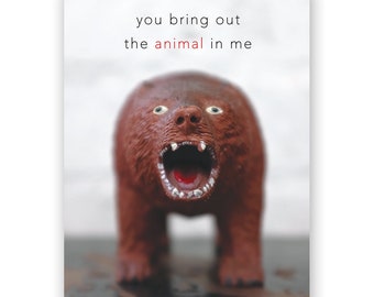 Animal Bear Card