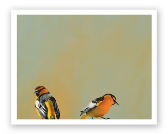 We Met Cute In The « As Is » Section At IKEA, Yet... Impression d'art 11 x 14 - Oiseau - Animal - Nature - Édition limitée - Cadeau