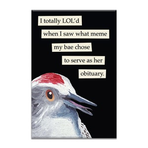 Bae Magnet - Bird - Humor - Gift - Stocking Stuffer - Mincing Mockingbird