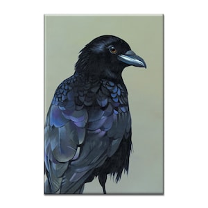 May include: A close-up of a black crow with a dark blue iridescent sheen on its feathers. The crow is looking to the right of the image, with its head tilted slightly. The background is a light green colour.