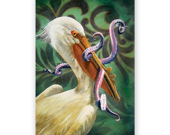 Pelican & Octopus - Postcard Set of 12