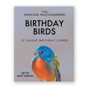 Matt Adrian Bird Birthday Box Set of 12