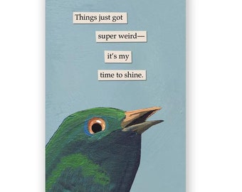 Super Weird - Postcard Set of 12 - Etsy