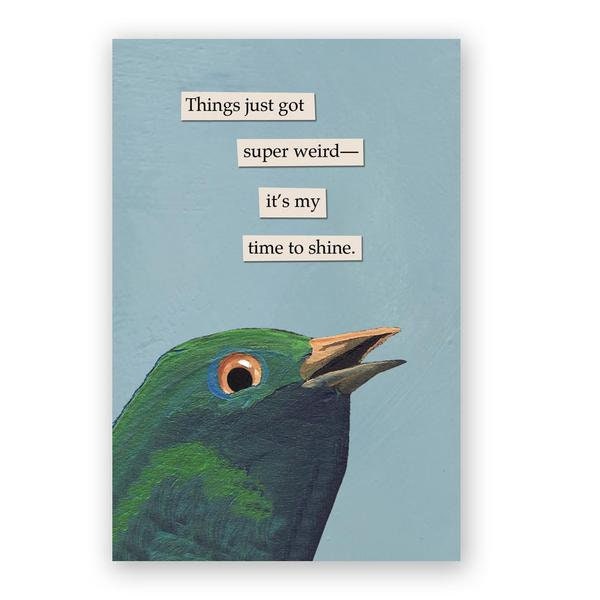 Super Weird - Postcard Set of 12 - Etsy