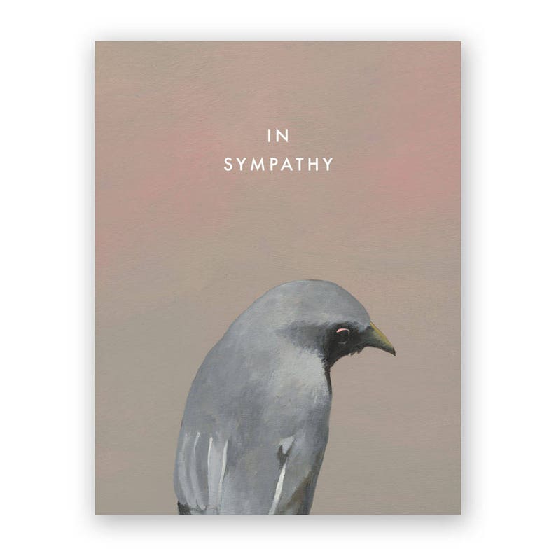 Bird Sympathy Card Birds Greeting Stationery Etsy