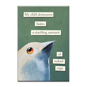 Può includere: Stampa artistica rettangolare con un uccello dalla testa bianca, dettagli blu e un occhio arancione. Il testo sullo sfondo verde recita: "My chill demeanor hides a startling amount of naked rage."