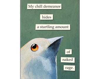 May include: A rectangular art print features a bird with a white head, blue accents, and an orange eye. Text on the green background reads "My chill demeanor hides a startling amount of naked rage."