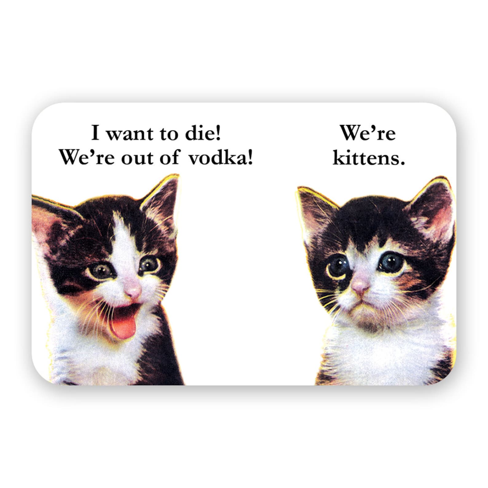 Vodka Kittens Sticker Etsy