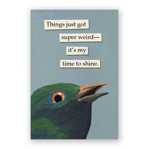 Things Just Got Super Weird Magnet - Bird - Humor - Gift - Stocking Stuffer - Mincing Mockingbird