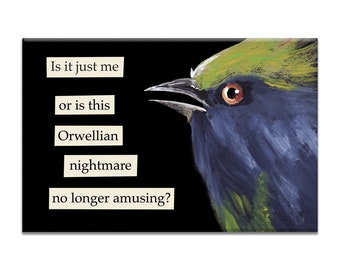 Puede incluir: Un pájaro negro y verde con un ojo rojo mira hacia la izquierda. El pájaro está sobre un fondo negro con texto blanco que dice "Is it just me or is this Orwellian nightmare no longer amusing?"