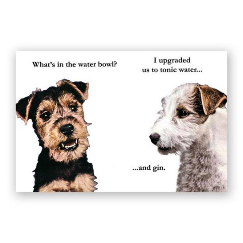 Gin /& Tonic Dogs Postcards Stocking Stuffer Humor Set of 12 Gift