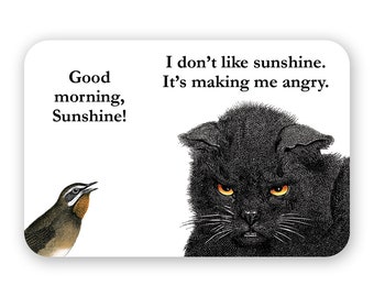 May include: A black cat with angry eyes looks at a small brown bird with the text "Good morning, Sunshine!" and "I don't like sunshine. It's making me angry."