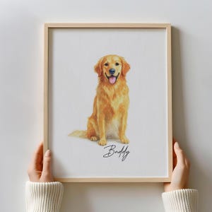 May include: A framed watercolor print of a Golden Retriever dog. The dog is depicted in a sitting position with its tongue out. The dog's name, "Buddy", is written in cursive below the dog. The frame is made of light-colored wood.
