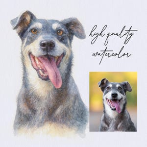 Custom Watercolor Pet Portrait: Dog, Cat Memorial Art - Etsy