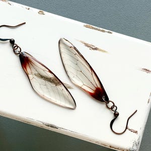 May include: A pair of distinctive earrings with translucent, wing-shaped elements, showcasing detailed veins. The wings transition from clear to a deep red colour. The earrings have a dark, antique-style metal hook.