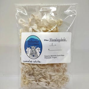 Wensleydale Curly Wool Locks - Natural  Colors