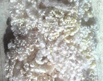 Blue Faced Leicester wool sheerling white locks