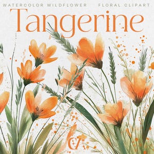 Tangerine : PNG&#39;s, Orange Floral Clipart, Floral Watercolour Digital Download Clipart, 300DPI,  Wedding Clip art, Junk Journal Clipart