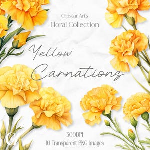 Garofani gialli: Clipart, Clipart digitale floreale ad acquerello, 300 DPI, Clip art di matrimonio, Clipart di diario spazzatura, Clipart floreale