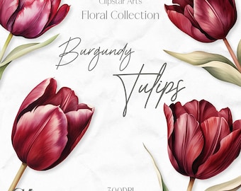 Burgundy Tulip Clipart: Watercolor Floral Illustration (Digital Download)