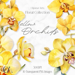 Gele orchidee: Clipart, bloemen aquarel digitale download clipart, 300 DPI, bruiloft illustraties, Junk Journal clipart, bloemen clipart