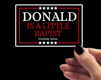 Anti Trump Vinyl Sticker, Custom Waterproof 4”x2” Sticker