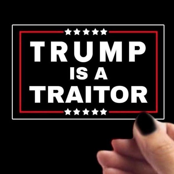 Trump is a Traitor Vinyl Sticker - Waterproof 4"x2.5"