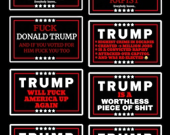 Anti Trump 8 Vinyl Sticker Bundle, Custom Water Resistant 4”x2” Sticker