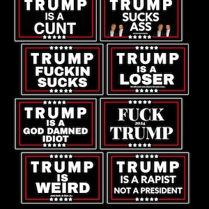 Anti Trump 8 Vinyl Sticker Bundle, Custom Waterproof 4”x2” Sticker