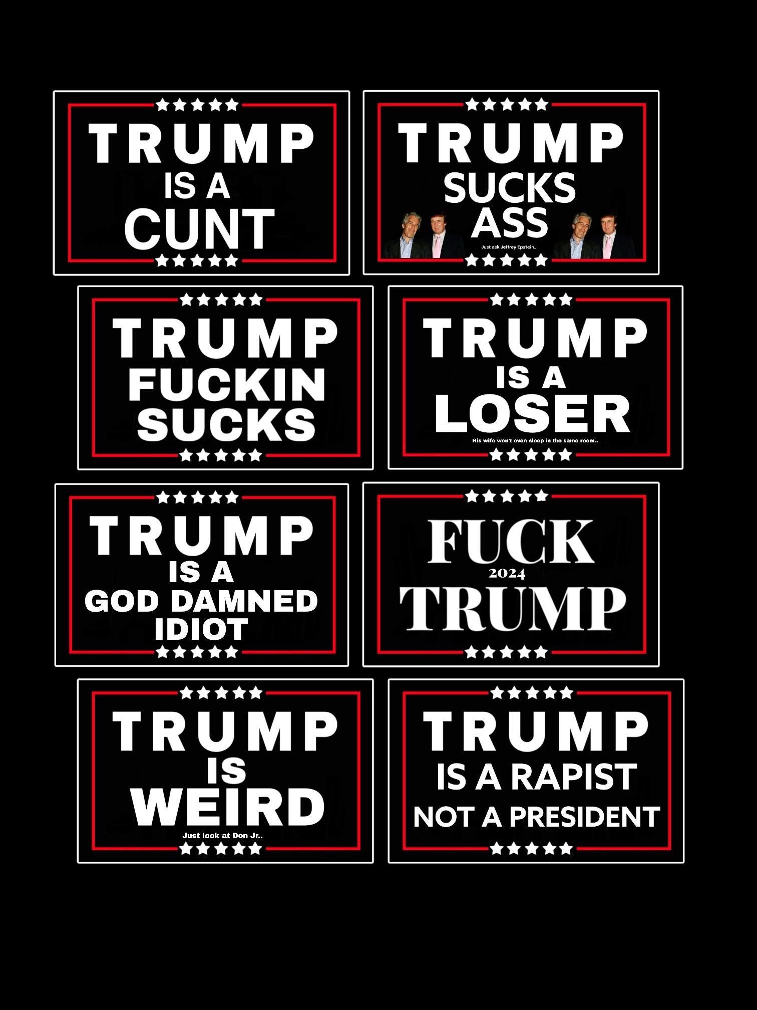 Anti Trump 8 Vinyl Sticker Bundle, Custom Waterproof 4”x2” Sticker