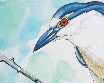 Black-Crowned Night Heron Bird Blank Greeting Card