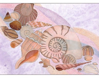 Seashells