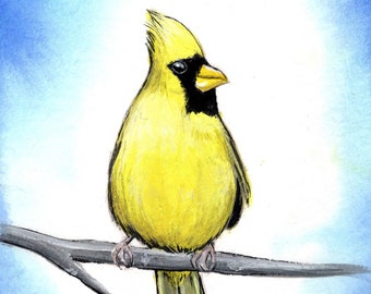 Yellow Cardinal 8x10 art print - Bird Watercolor Birding Art by Marcia Furman