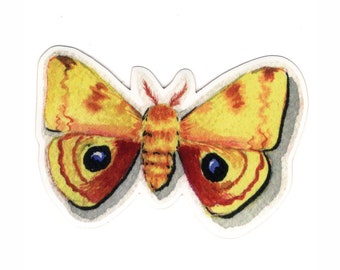 Io Moth Sticker, Vinyl Sticker