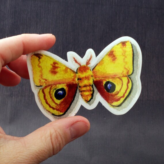 Io Moth Sticker