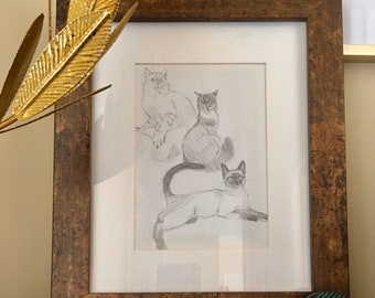Cat Study - sketch of three cats, pencil study, graphite drawing, cat drawing