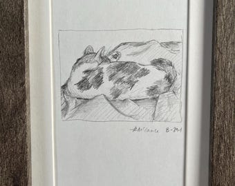 Cat Nap - original pencil drawing of a sleeping cat