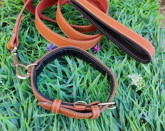 Leather dog leash, Leather Pet Leashes, Leather Dog Collar, Leashes dog Dog Collar with leash  Leash for Stylish and Dog Accessories
