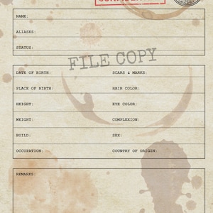 editable-spy-dossier-pdf-template-customizable-mission-brief-digital