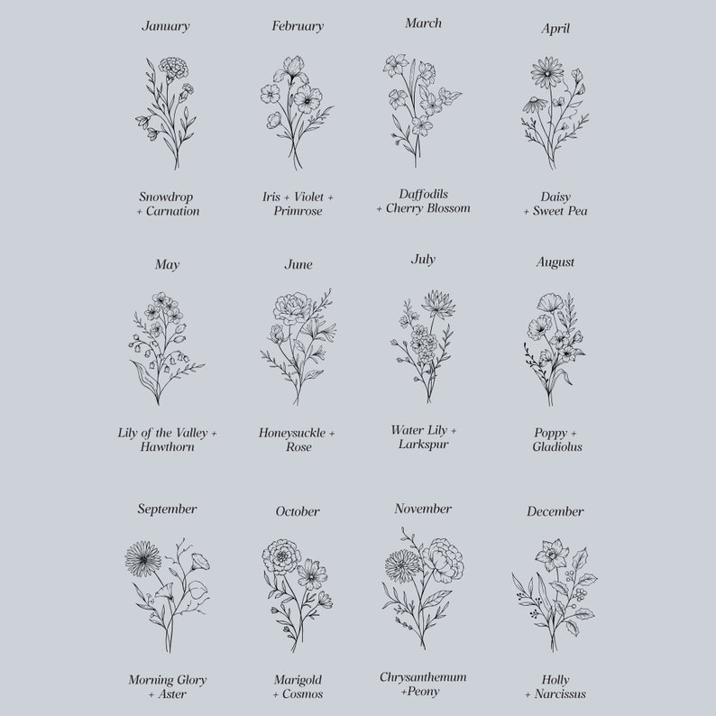 May include: A black and white illustration of a bouquet of flowers for each month of the year. The flowers are labeled with their common names and the month they bloom in. January: Snowdrop + Carnation, February: Iris + Violet + Primrose, March: Daffodils + Cherry Blossom, April: Daisy + Sweet Pea, May: Lily of the Valley + Hawthorn, June: Honeysuckle + Rose, July: Water Lily + Larkspur, August: Poppy + Gladiolus, September: Morning Glory + Aster, October: Marigold + Cosmos, November: Chrysanthemum + Peony, December: Holly + Narcissus.